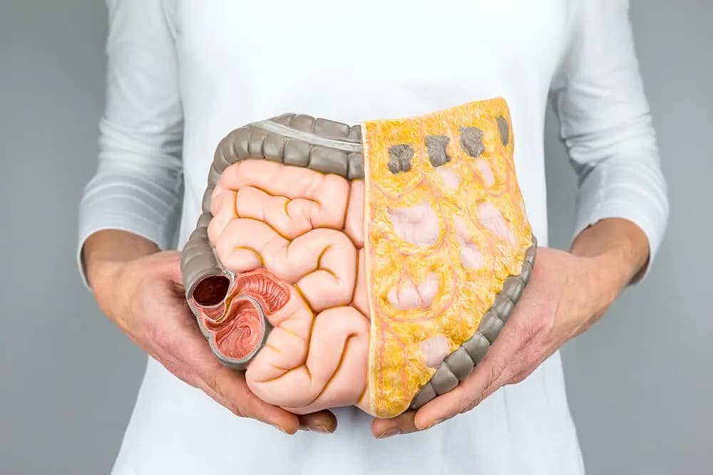 Jaki lekarz od jelit? Dowiedz się, kiedy potrzebujesz gastroenterologa